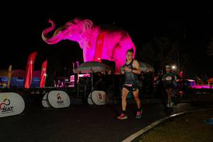 BIB: 
                            <button type="button" onclick="openModal(26535115)" class="btn btn-primary btn-sm float-right btn-popup" data-toggle="modal" data-target=".modal-high-quality">
                        <i class="fas fa-shopping-cart"></i> Add to Cart
                    </button>
                                            <button type="button" onclick="isThisMe(26535115, true)" class="btn btn-success btn-sm float-right btn-popup btn-isme hidden" data-toggle="tooltip" data-placement="bottom" title="นี่คือรูปของคุณใช่ไหม คลิกที่นี่เพื่อเอาเข้าอัลบั้ม">
                        <i class="fas fa-plus"></i> Add to album
                    </button>
                    <button type="button" onclick="isThisMe(26535115, false)" class="btn btn-warning btn-sm float-right btn-popup btn-isnotme hidden">
                        <i class="fas fa-ban"></i> Remove from album
                    </button>